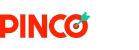 Logo aznpinco.it.com